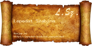 Lepedat Szabina névjegykártya